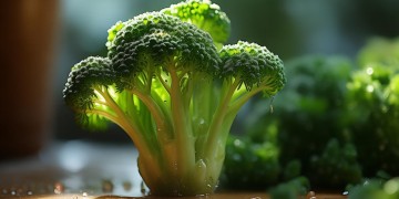小小的西兰花究竟出自哪首歌？