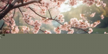 爱情什么开头的歌能带来怎样的情感共鸣？