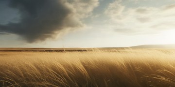 大风北风吹究竟是什么歌？