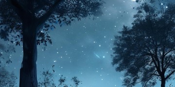 我存在夜风中究竟是哪首歌？