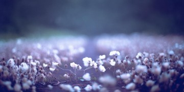 一万个心酸后路究竟是哪首歌？