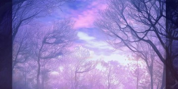 明日之子5有哪些令人难忘的歌曲？