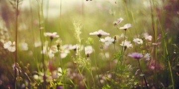 不是装英雄出自哪首歌？