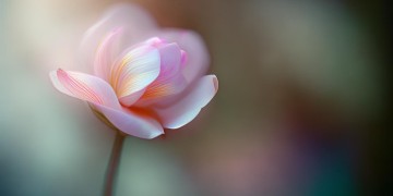 慢慢张开你的眼睛是哪首歌的歌词？