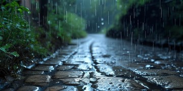 雨中还未尽缘分这句歌词出自哪首歌？