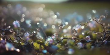 爱恨谁与谁相随究竟出自哪首歌？