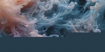 小七新出的歌究竟是什么意思？