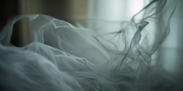 我还是变老了出自哪首歌？