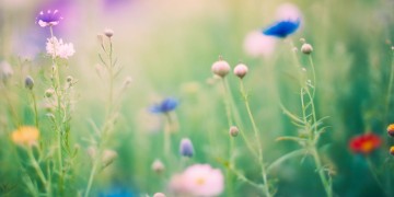 有哪些歌是描写两人初见的呢？