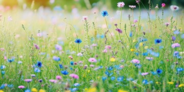 蹦啦啦蹦啦啦蹦是哪首歌？