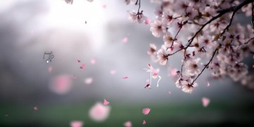 是我什么太过天真究竟是哪首歌？