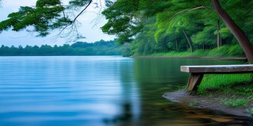 我在纳林湖畔等你究竟出自哪首歌？