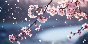 陪你相伴到相知究竟是哪首歌？
