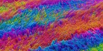 通通通通通到底是哪首歌？