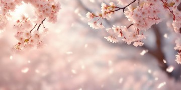 其实我也讨厌你出自哪首歌？