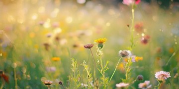 怀念我青春的样子到底是什么歌？