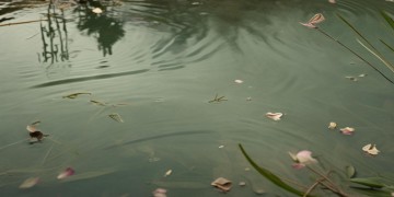 什么歌什么哭有合适的成语吗？