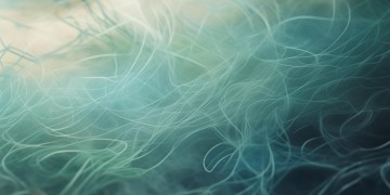不需要就放手吧到底是哪首歌？