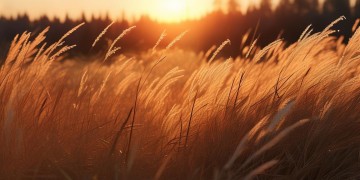 向着太阳走这句歌词出自哪首歌？