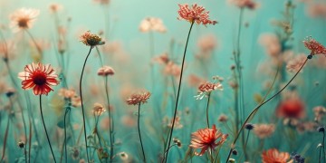 假装心跳没失控究竟出自哪首歌？