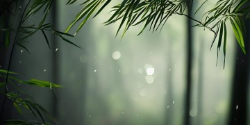 那个人唱的什么什么粤语歌究竟是哪首？