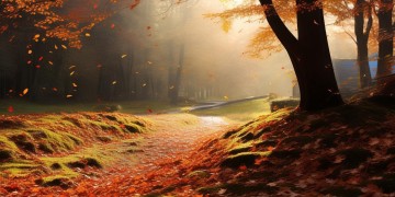 秋天能遇见你究竟是哪首歌？