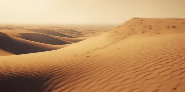 看不见那片海出自哪首歌？