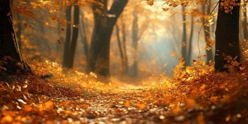 承包你的整个十月究竟是哪首歌？