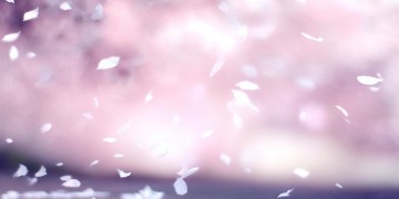 因为你的温柔这句歌词出自哪首歌？