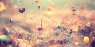 哦能构成什么类型的歌呢？