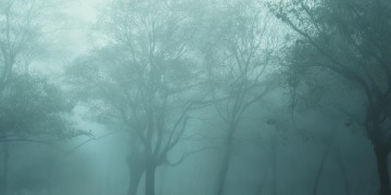天蒙蒙恕风挥霍究竟是哪首歌？