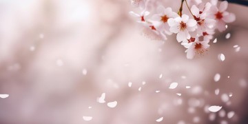 奶嗨嗨哟是哪首歌里的呢？