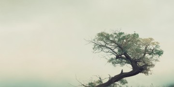 强忍痛苦在心里这句歌词出自哪首歌？