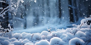 雪下的那么深出自哪首歌？