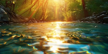 是最美的阳光出自哪首歌？