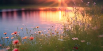 下辈子再来这句歌词出自哪首歌？