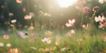 最好的就是你出自哪首歌？