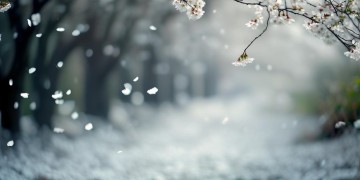 穿过了心头到底是哪首歌？