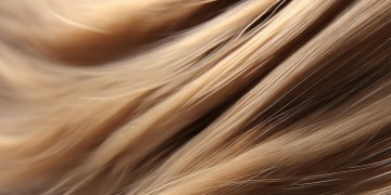 每个人都会长毛毛究竟是哪首歌？