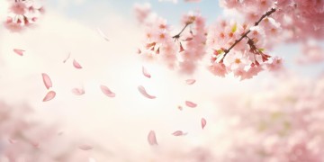 不爱就算一拍两散出自哪首歌？