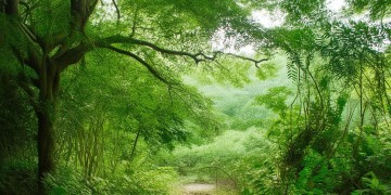 嘎吉哟是侗族的什么歌？