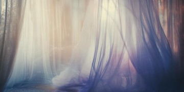 其实虚伪的执着究竟是哪首歌？