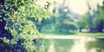 我隐藏在人群中是哪首歌？