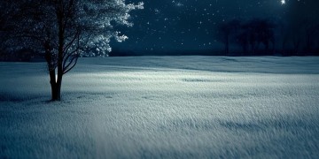 今夜莫名的失眠了究竟是哪首歌？