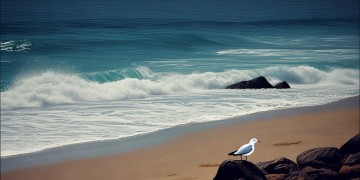 聆听海的忧伤究竟是哪首歌？