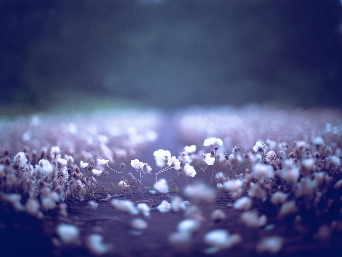 一万个心酸后路究竟是哪首歌？