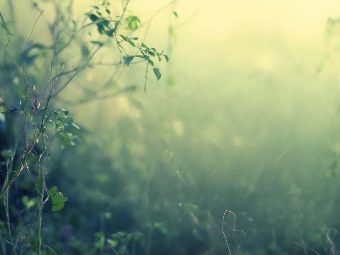 烦烦烦的不能呼吸到底是哪首歌？