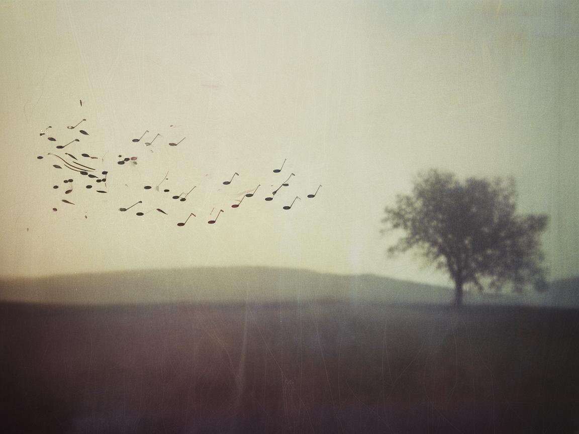 那首让你伤心的人之歌究竟叫啥？