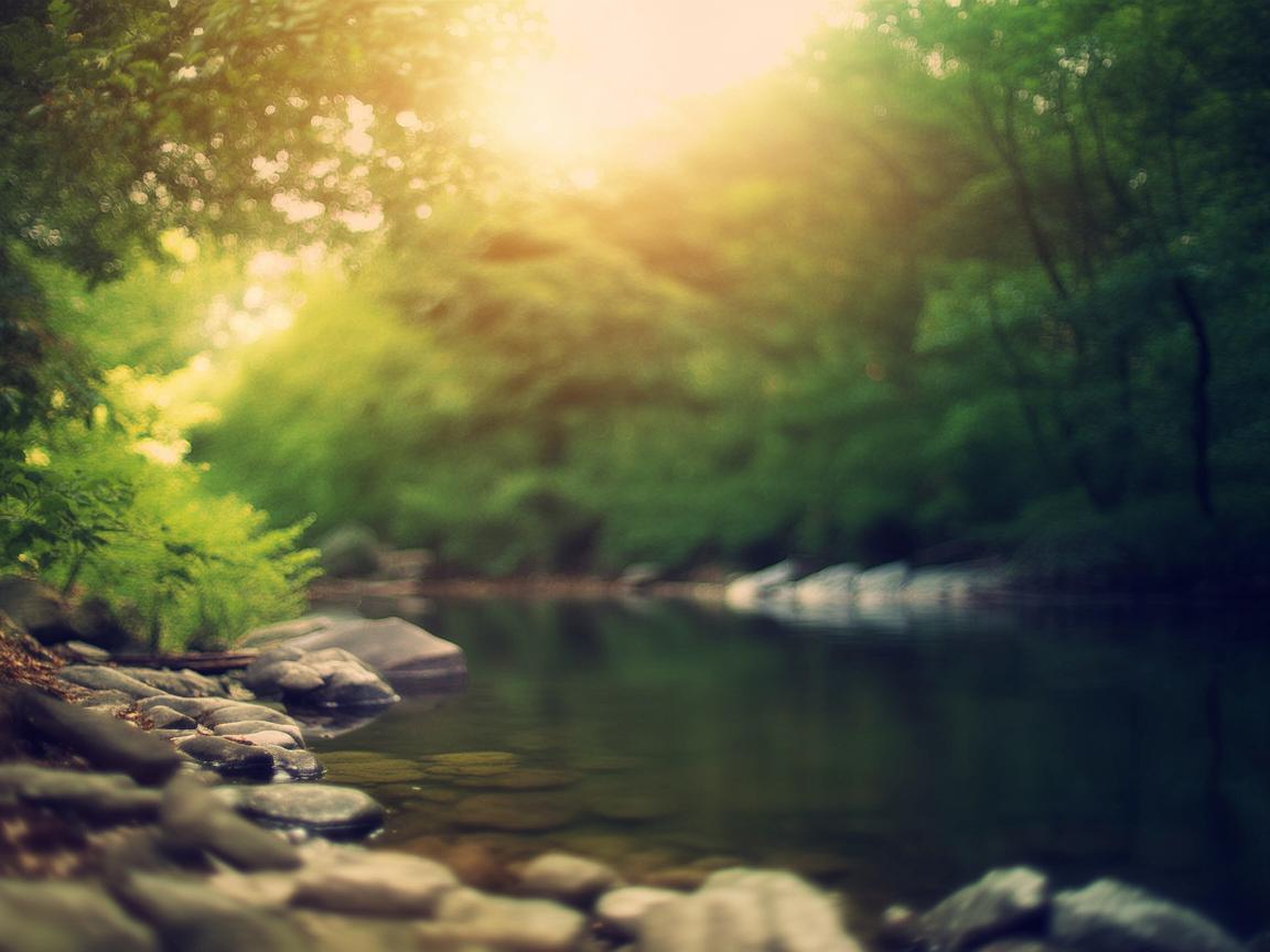 谁都想再回到从前究竟是哪首歌? 谁都想再回到从前究竟是哪首歌?